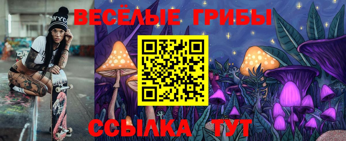 Псилоцибиновые грибы прущие грибы  Вход с VPN  Камышин  сколько стоит  Псилоцибиновые грибы мицелий 